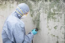 Best Post-Construction Mold Inspection  in Linglestown, PA